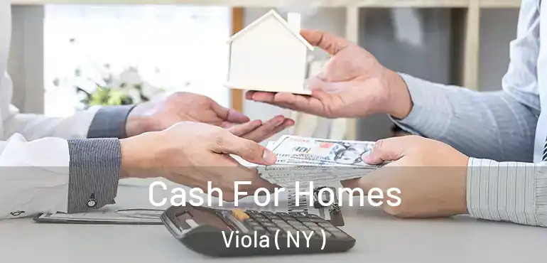  Cash For Homes Viola ( NY )