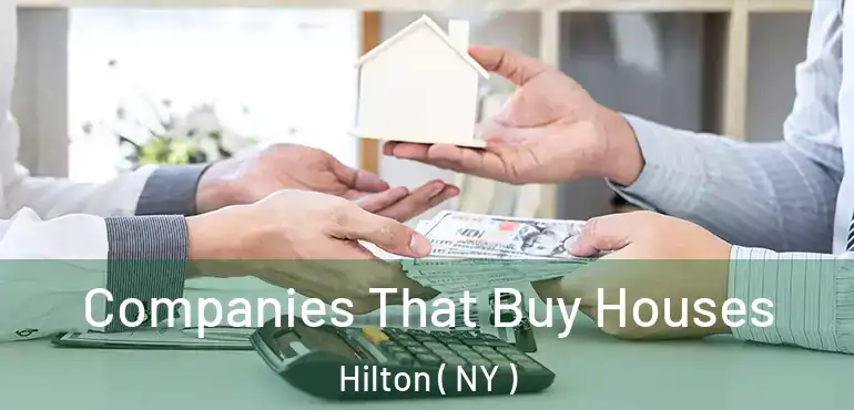  Companies That Buy Houses Hilton ( NY )