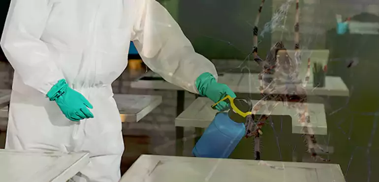 Why Buyers Still Want Homes With Pest Infestations in University at Buffalo, NY?