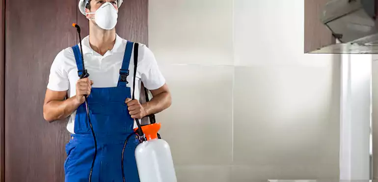Why University at Buffalo Homeowners Choose Us When Pests Make Selling Difficult