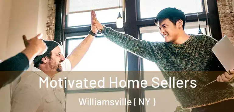  Motivated Home Sellers Williamsville ( NY )