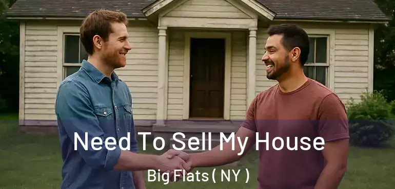 Need To Sell My House Big Flats ( NY )