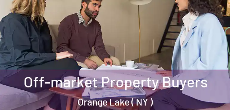  Off-market Property Buyers Orange Lake ( NY )