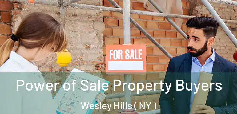  Power of Sale Property Buyers Wesley Hills ( NY )