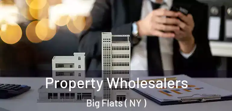  Property Wholesalers Big Flats ( NY )