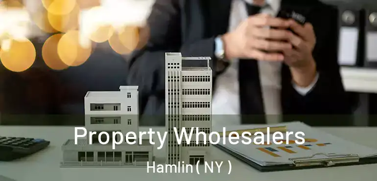  Property Wholesalers Hamlin ( NY )