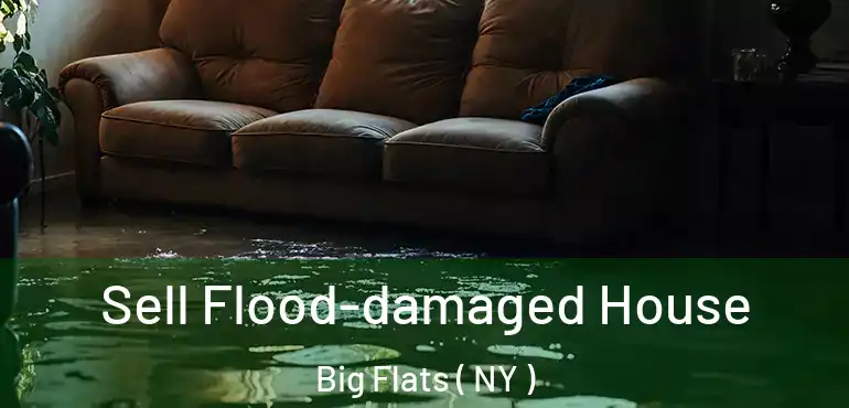  Sell Flood-damaged House Big Flats ( NY )