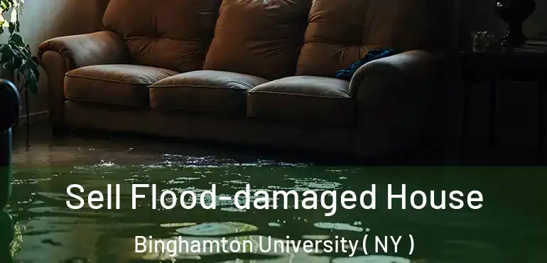  Sell Flood-damaged House Binghamton University ( NY )