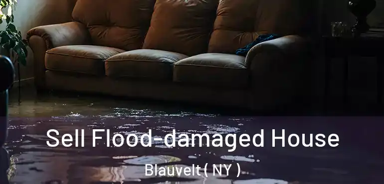  Sell Flood-damaged House Blauvelt ( NY )