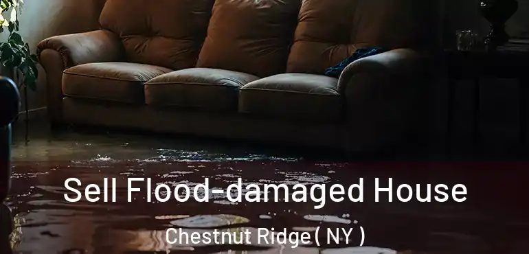  Sell Flood-damaged House Chestnut Ridge ( NY )