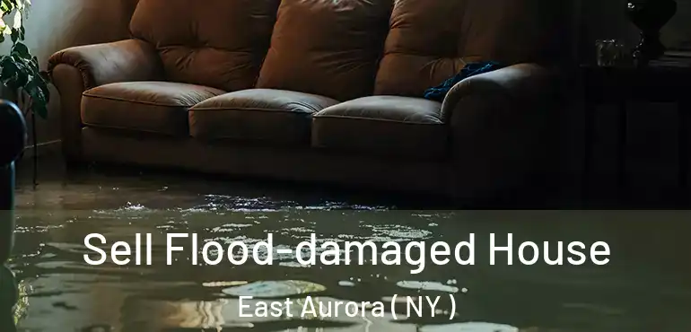  Sell Flood-damaged House East Aurora ( NY )
