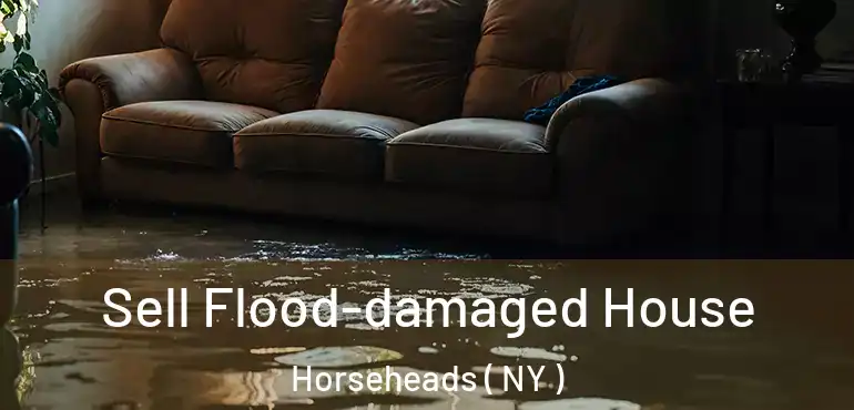  Sell Flood-damaged House Horseheads ( NY )