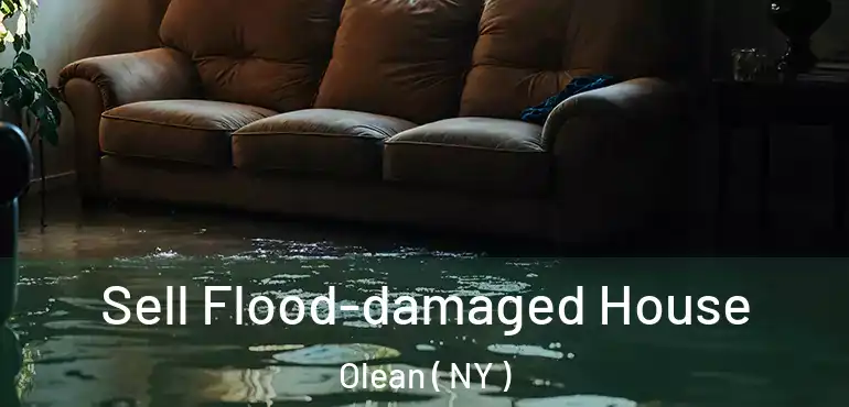  Sell Flood-damaged House Olean ( NY )