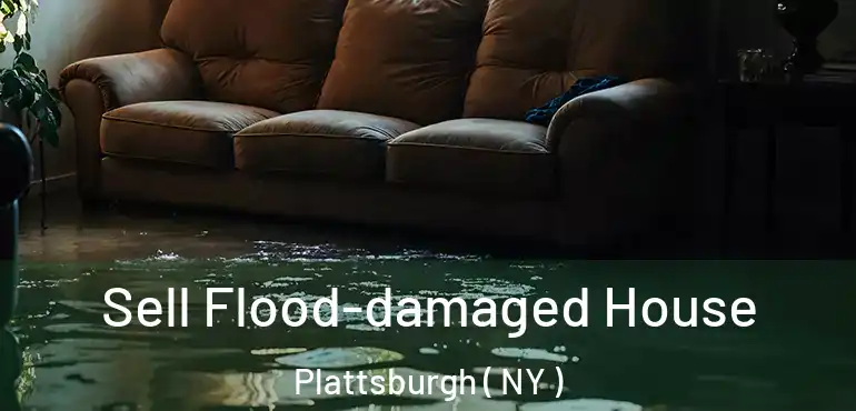  Sell Flood-damaged House Plattsburgh ( NY )