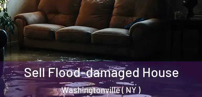  Sell Flood-damaged House Washingtonville ( NY )