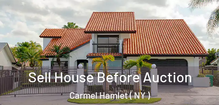  Sell House Before Auction Carmel Hamlet ( NY )