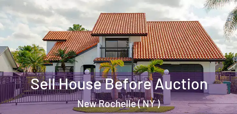  Sell House Before Auction New Rochelle ( NY )