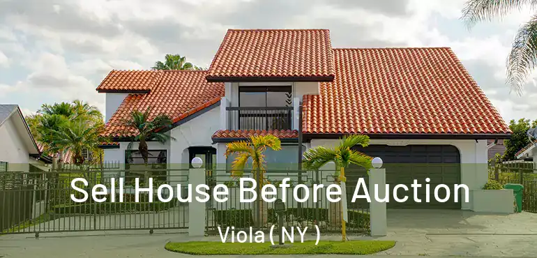  Sell House Before Auction Viola ( NY )