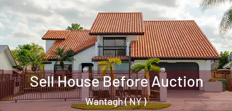  Sell House Before Auction Wantagh ( NY )