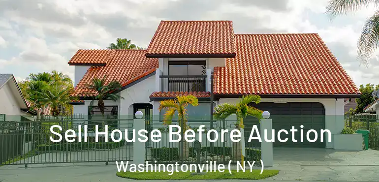  Sell House Before Auction Washingtonville ( NY )