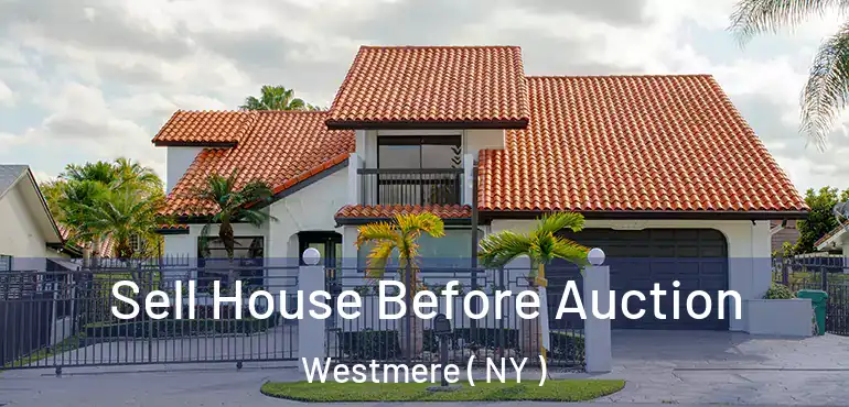 Sell House Before Auction Westmere ( NY )
