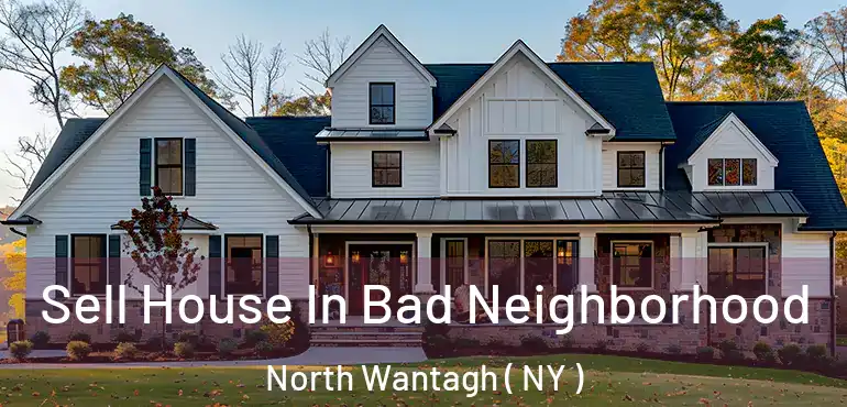  Sell House In Bad Neighborhood North Wantagh ( NY )