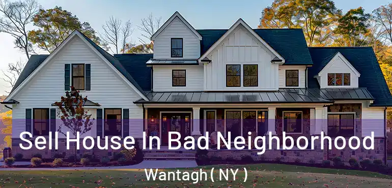  Sell House In Bad Neighborhood Wantagh ( NY )