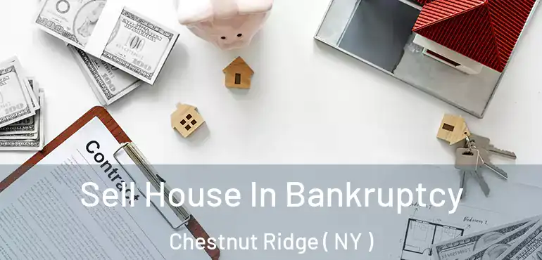  Sell House In Bankruptcy Chestnut Ridge ( NY )