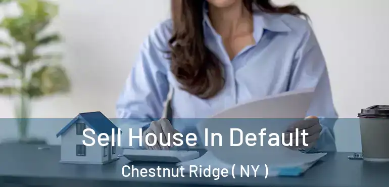  Sell House In Default Chestnut Ridge ( NY )
