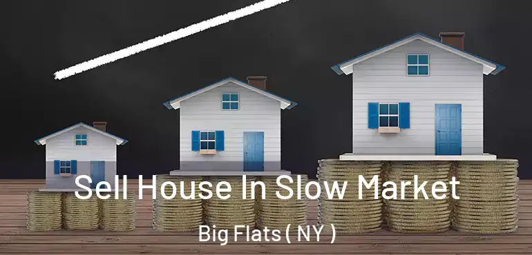  Sell House In Slow Market Big Flats ( NY )