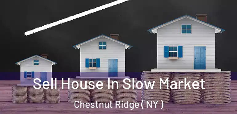  Sell House In Slow Market Chestnut Ridge ( NY )