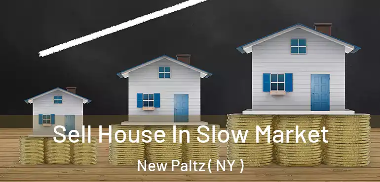 Sell House In Slow Market New Paltz ( NY )
