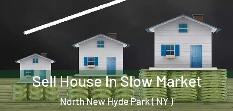  Sell House In Slow Market North New Hyde Park ( NY )