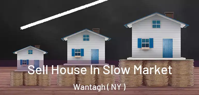  Sell House In Slow Market Wantagh ( NY )