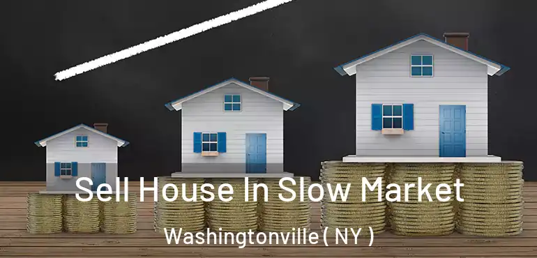  Sell House In Slow Market Washingtonville ( NY )