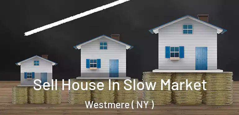  Sell House In Slow Market Westmere ( NY )