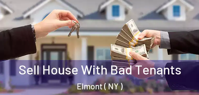  Sell House With Bad Tenants Elmont ( NY )