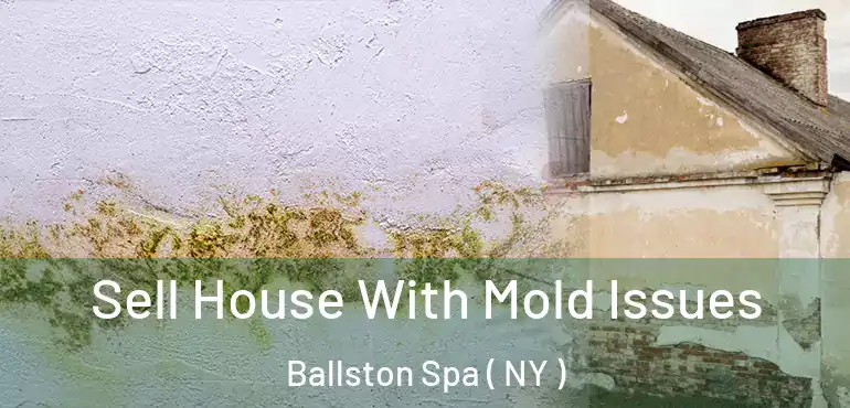  Sell House With Mold Issues Ballston Spa ( NY )