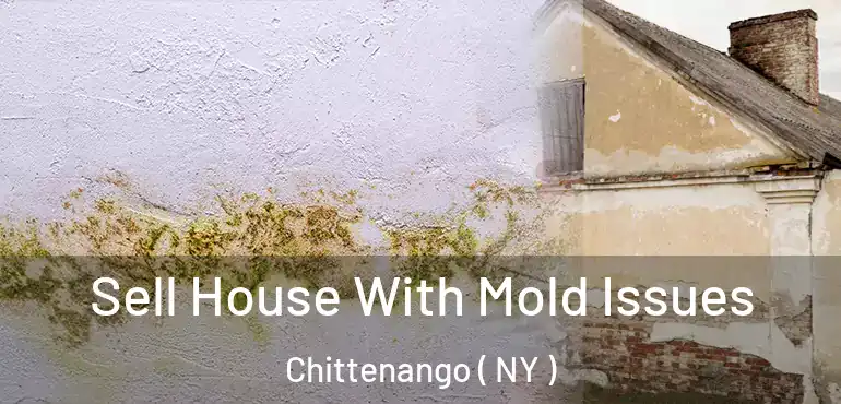  Sell House With Mold Issues Chittenango ( NY )