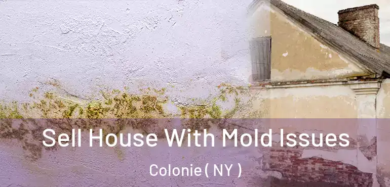  Sell House With Mold Issues Colonie ( NY )