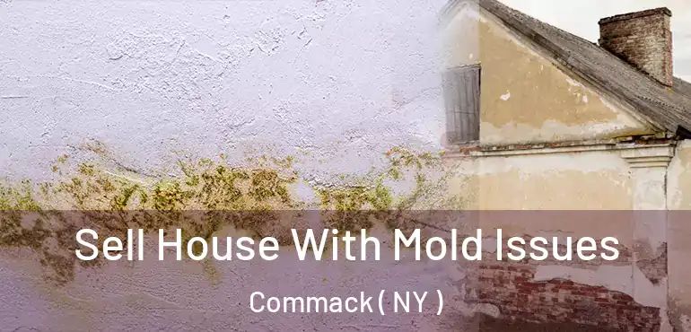  Sell House With Mold Issues Commack ( NY )