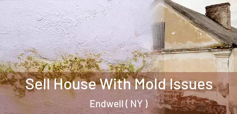  Sell House With Mold Issues Endwell ( NY )