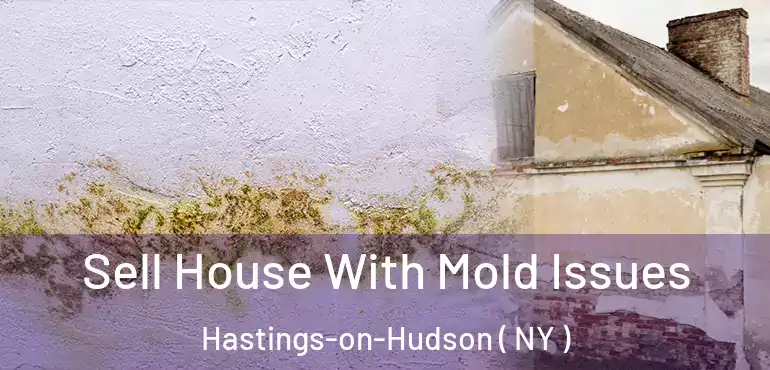  Sell House With Mold Issues Hastings-on-Hudson ( NY )