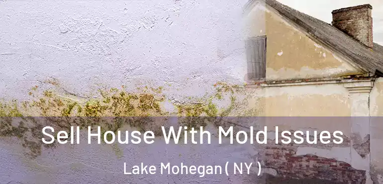  Sell House With Mold Issues Lake Mohegan ( NY )