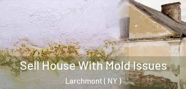  Sell House With Mold Issues Larchmont ( NY )