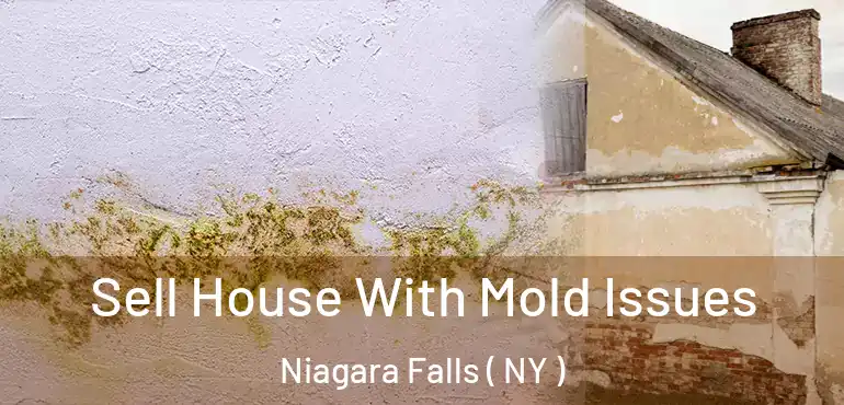  Sell House With Mold Issues Niagara Falls ( NY )