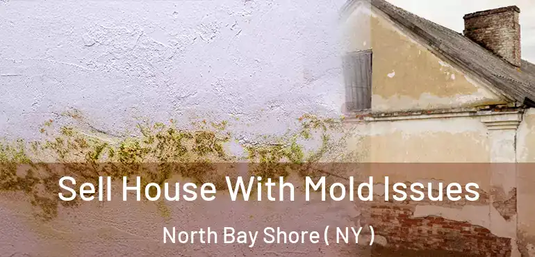  Sell House With Mold Issues North Bay Shore ( NY )