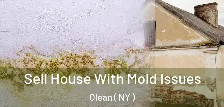  Sell House With Mold Issues Olean ( NY )
