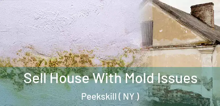  Sell House With Mold Issues Peekskill ( NY )