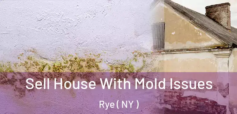  Sell House With Mold Issues Rye ( NY )